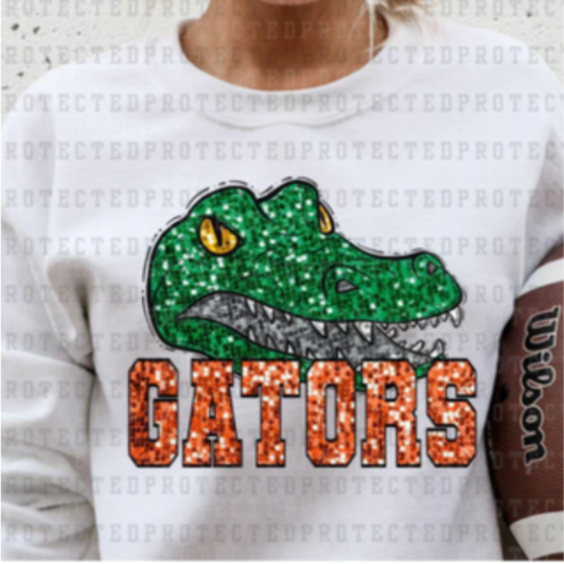 DWMS Gators [White Gildan Softstyle Tee, Gildan Crewneck or Hoodie]  Main Image